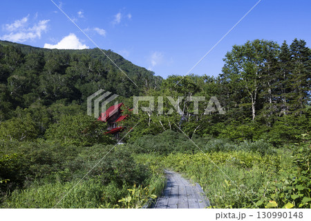 山小屋と自然園 山小屋と自然園 130990148