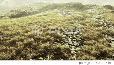 Golden hues touch the flowing grass in a serene landscape, inviting tranquility. Gentle slopes reveal natures texture under the soft glow of dawn, creating a peaceful atmosphere. 130990616