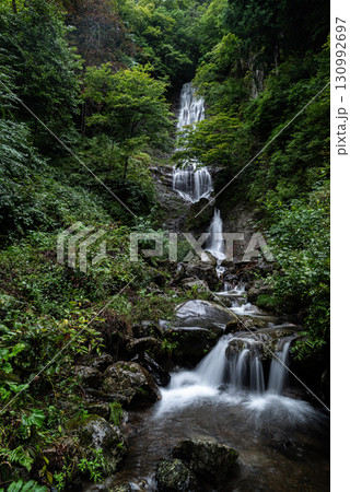 新緑の森と美しい滝　唐沢の滝 130992697