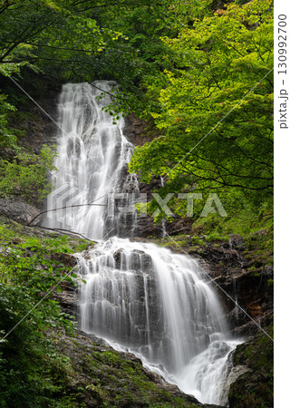 新緑の森と美しい滝　唐沢の滝 130992700