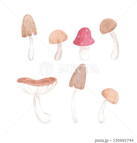 Hand drawn watercolor mushrooms set. Illustration isolated on white background. Can be used for postcard, label, scrapbook and other printed products. Hand drawn watercolor mushrooms set. Illustration isolated on white background. Can be used for postcard, label, scrapbook and other printed products. 130992744