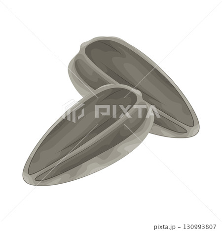 Illustration of sunflower seed Illustration of sunflower seed 130993807