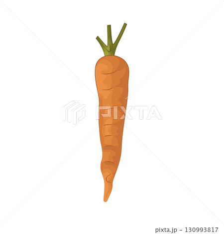 Illustration of carrot 130993817