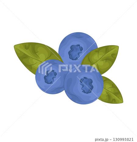 Illustration of blueberry 130993821