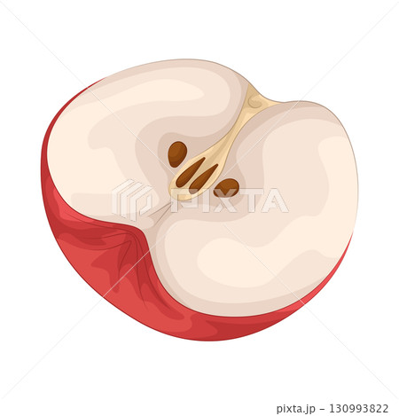 Illustration of half apple 130993822