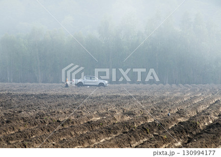 Farmers prepare to plant crops on their plowed agricultural land in a light foggy morning. 130994177