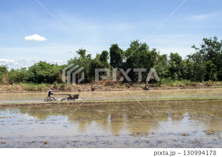 Farmers use simple local tractors to till the land for rice planting. Farmers use simple local tractors to till the land for rice planting. 130994178