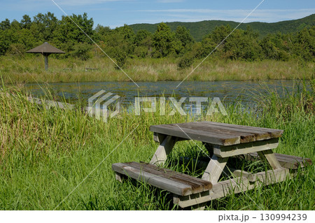 夏の市民公園の風景 130994239