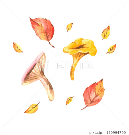 Set with mushrooms and autumn leaves in warm tones, hand-painted watercolor illustration designed for stickers, clipart, patterns, stationery and seasonal creative projects. 130994790