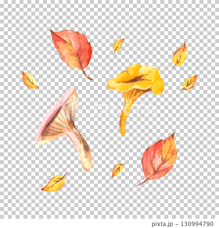 Set with mushrooms and autumn leaves in warm tones, hand-painted watercolor illustration designed for stickers, clipart, patterns, stationery and seasonal creative projects. Set with mushrooms and autumn leaves in warm tones, hand-painted watercolor illustration designed for stickers, clipart, patterns, stationery and seasonal creative projects. 130994790