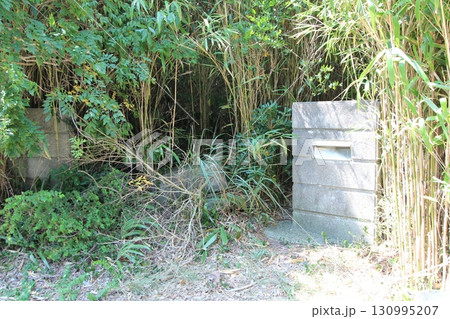 なぜここに郵便ポスト？ 130995207