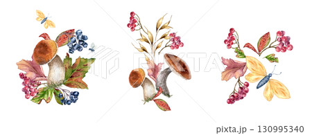 Forest harvest autumn watercolor set hand painted isolated white. Butterflies, red berries and porcini mushrooms botanical sketch clipart. Woodland plants drawing for wedding invitations, and print. 130995340