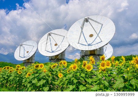 【国立天文台野辺山宇宙電波観測所】パラボラアンテナとヒマワリ【南佐久郡南牧村】 130995999