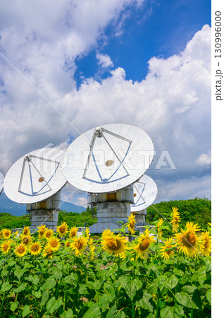 【国立天文台野辺山宇宙電波観測所】パラボラアンテナとヒマワリ【南佐久郡南牧村】 130996000