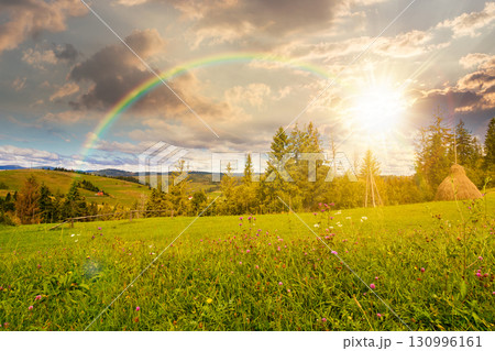 rural area in autumn at sunset. scenic view. countryside scenery with rolling hills under rainbow. mountain landscape in evening light. provincial outdoor adventure 130996161
