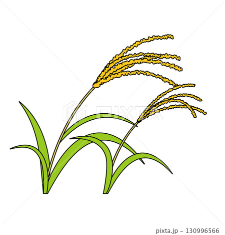 ススキのイラスト 130996566