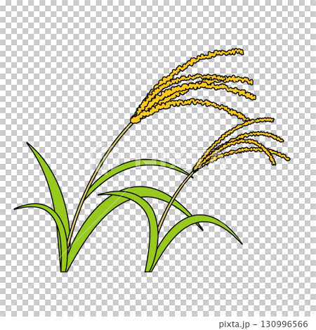 ススキのイラスト 130996566