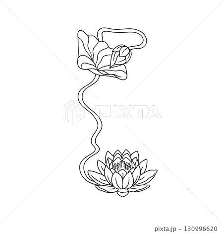 Vintage art nouveau hand drawn monochrome black and white lotus flowers frame vector illustration Vintage art nouveau hand drawn monochrome black and white lotus flowers frame vector illustration 130996620