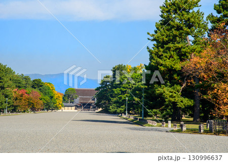 秋の京都御所　建礼門 130996637