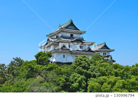 紀伊 和歌山城 天守閣と郭 石垣の様子 紀伊 和歌山城 天守閣と郭 石垣の様子 130996794