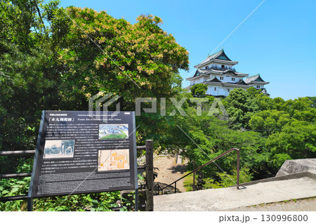 紀伊 和歌山城 天守閣と郭 石垣の様子 紀伊 和歌山城 天守閣と郭 石垣の様子 130996800