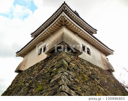 紀伊　和歌山城　天守閣と郭　石垣の様子 130996803