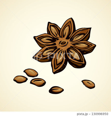 Anise. Vector drawing 130996950