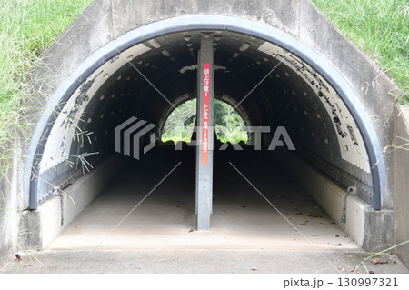 公園のトンネル 130997321