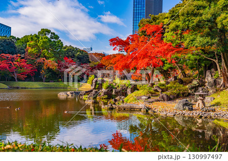 【東京都】紅葉期の小石川後楽園 【東京都】紅葉期の小石川後楽園 130997497