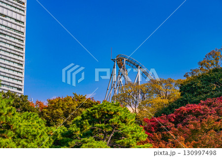 【東京都】紅葉期の小石川後楽園 130997498