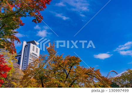 【東京都】紅葉期の小石川後楽園 130997499