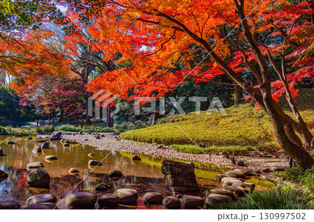 【東京都】紅葉期の小石川後楽園 130997502