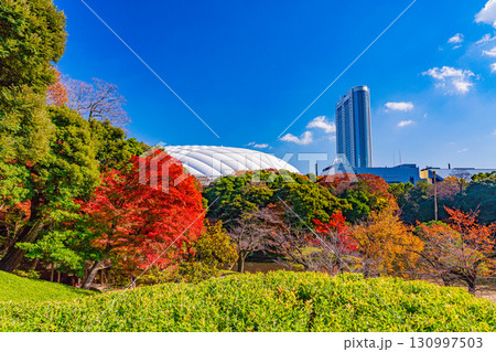 【東京都】紅葉期の小石川後楽園 【東京都】紅葉期の小石川後楽園 130997503