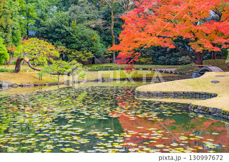 【東京都】紅葉最盛期の小石川後楽園 【東京都】紅葉最盛期の小石川後楽園 130997672