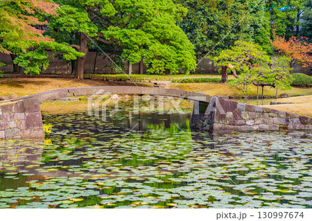 【東京都】紅葉最盛期の小石川後楽園 130997674