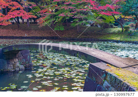 【東京都】紅葉最盛期の小石川後楽園 【東京都】紅葉最盛期の小石川後楽園 130997677