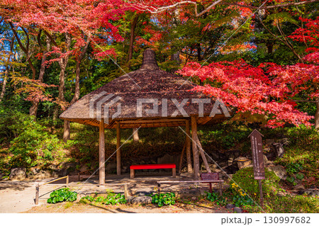 【東京都】紅葉最盛期の小石川後楽園 130997682