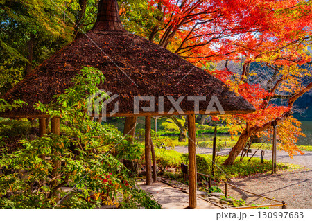 【東京都】紅葉最盛期の小石川後楽園 130997683