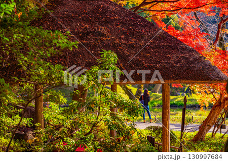 【東京都】紅葉最盛期の小石川後楽園 130997684