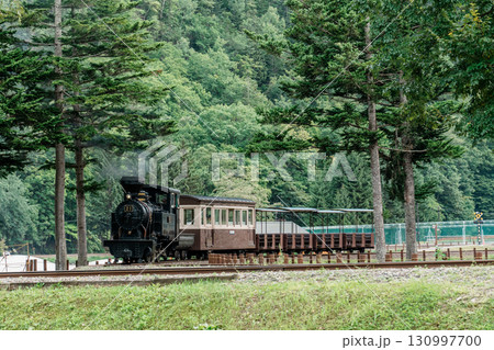 北海道遠軽の森林鉄道蒸気機関車・雨宮21号　 130997700