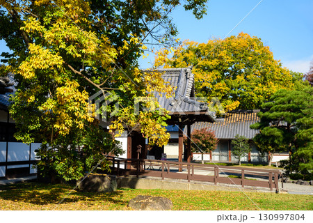 京都御苑 閑院宮邸跡 京都御苑 閑院宮邸跡 130997804