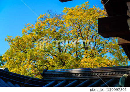 京都御苑　閑院宮邸跡 130997805