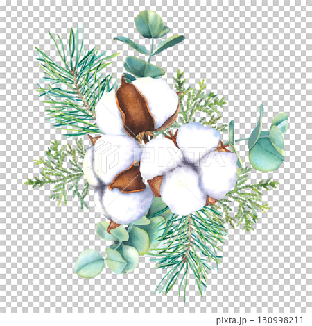 Watercolor illustration of cotton flowers bolls, spruce twigs and eucalyptus branches and thuja. Drawing of botanical elements on isolated background for festive decor, holiday cards or invitations. 130998211