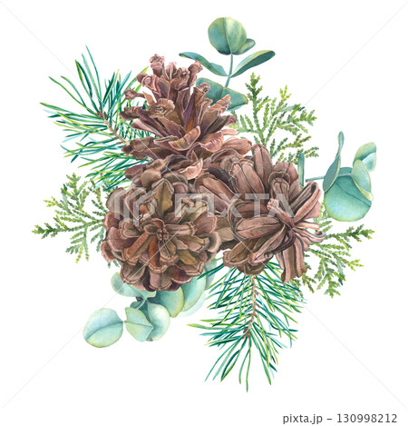 Pine cones with thuja, eucalyptus and spruce branches. Hand drawn watercolor illustration of Christmas botanical elements on isolated background for festive decor, holiday cards or invitations. 130998212
