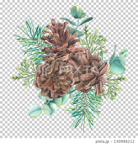 Pine cones with thuja, eucalyptus and spruce branches. Hand drawn watercolor illustration of Christmas botanical elements on isolated background for festive decor, holiday cards or invitations. 130998212