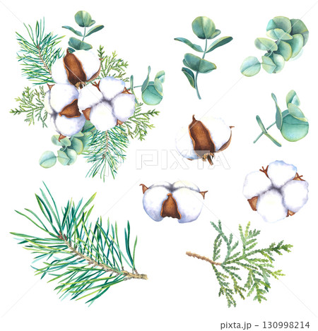 Set of cotton bolls, spruce twigs, eucalyptus branches and thuja. Hand drawn watercolor illustration of Christmas botanical elements on isolated background for decor, holiday cards or invitations. 130998214