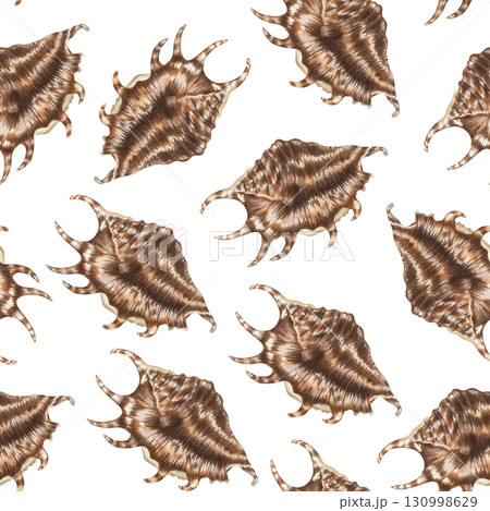 Seamless pattern with brown seashells. Hand drawn watercolor illustration of sea snails and shells on white background. Tropical clip art of coral reef animals for fabric, beach decor,wrapping paper. 130998629