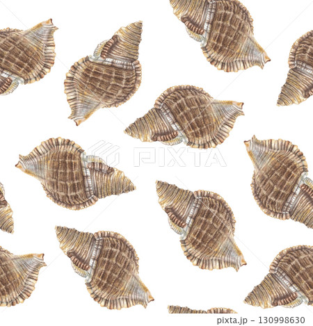 Seamless pattern exotic seashell. Hand drawn watercolor illustration of underwater animal on white background. Sketch of cockleshell for fabric print, wallpaper, wrapping paper, marine style decor. 130998630
