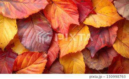 《AI画像》紅葉した落ち葉が積み重なる秋のイメージの背景素材 130998763