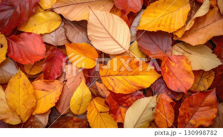 《AI画像》紅葉した落ち葉が積み重なる秋のイメージの背景素材 130998782